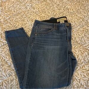 Democracy Distressed Denim Jeans